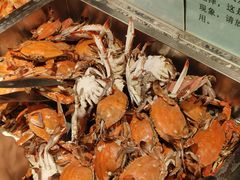 -禾斗海鲜自助(市南银座店)