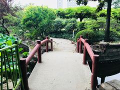 -嘉定紫藤园