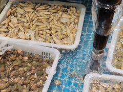 -和源祥·日照菜扛把子(万平口一店)