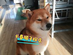 -宠颐生动物医院·心脏科·保险定点(锦阳分院)