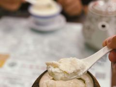 原只椰子炖双皮奶-仁信老铺(华盖路店)