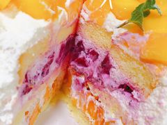 -今日·TODAY手作低脂动物奶油蛋糕定制(高新万达店)