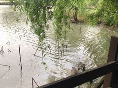 -长兴太湖图影湿地文化园