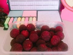 -西山樟坞健康果园枇杷杨梅采摘