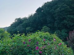 -太白山御龙湾温泉