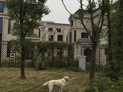 -两河城市森林公园