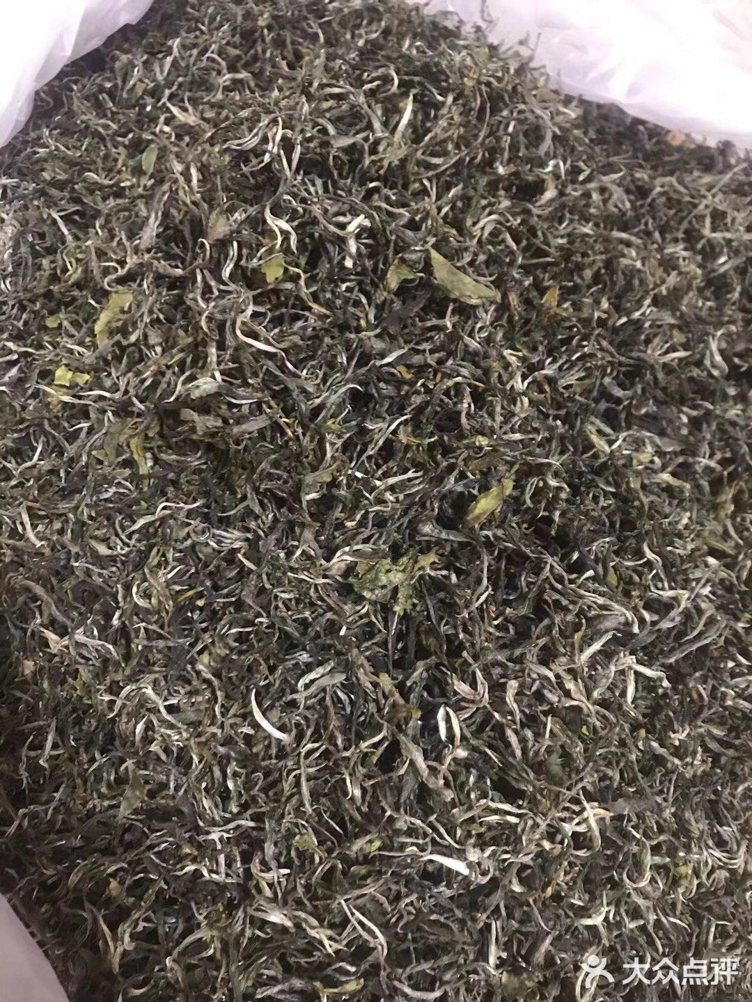 倚邦曼拱猫耳朵小叶种茶