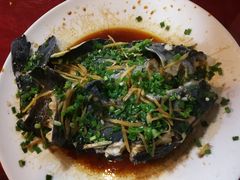 -生态苑农庄(十里画廊遇龙河店)