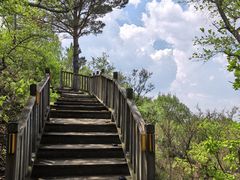 -帽儿山国家森林公园