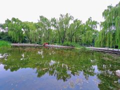 -玲珑塔公园
