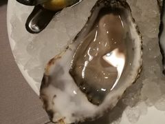 -Oyster Talks 四度蚝法餐厅