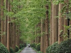 -上海怡沁园度假酒店