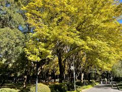 -清华大学-甲所餐厅