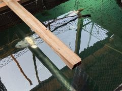 -蓝湾碧波·老字号·疍家非遗海上餐厅