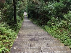 -紫鹊界梯田景区