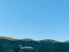 -海南槟榔谷黎苗文化旅游区