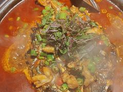 -探鱼·鲜青椒爽麻烤鱼(广州欣荣广场店)