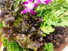 -潮正和潮汕牛肉火锅·老字号(番禺万达店)