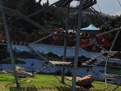 -西霞口神雕山野生动物世界