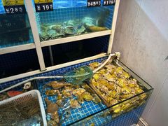 -金龙·打边炉(南京西路店)