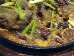 老板恋上鱼-老板恋上鱼(环山路店)
