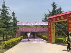 -黄河富景生态世界