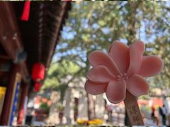 -潭柘寺景区