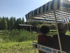 -黄海国家森林公园