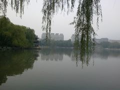 -紫竹院公园冰场