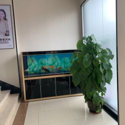 -东莞西妃整形美容医院