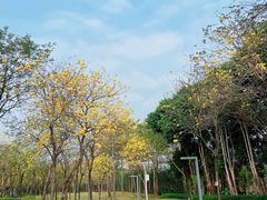 -顺峰山公园