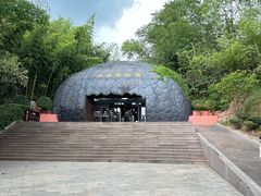 -中国西峡恐龙遗迹园