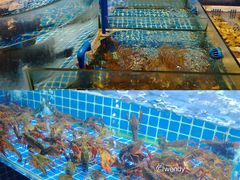 -吉源大排档·鱼生·海鲜(烧烤彩印厂店)