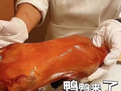 -玖五京菜(杭州城北万象城店)
