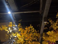 -要德火锅(泰隆商业街店)