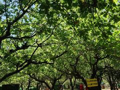 -亲兄弟真人CS团建拓展基地