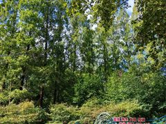 -徐家汇源景区-衡山公园