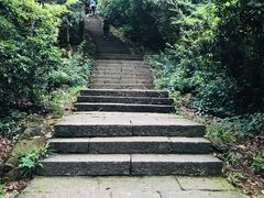 -西湖风景区十里琅珰-五云山