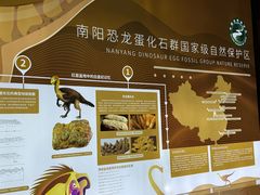 -中国西峡恐龙遗迹园