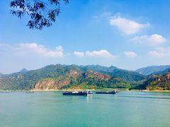 -羚羊峡古栈道森林公园