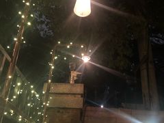 -Boxing Cat Brewery拳击猫精酿啤酒馆(永福店)