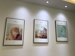 -F.N冻龄皮肤管理中心