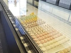 -BLACKSWAN黑天鹅(环球店)