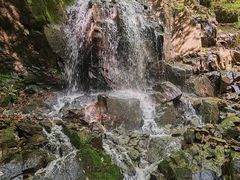 -本溪汤沟绿石谷森林公园