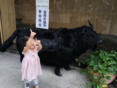 -许府牛火锅(信义坊总店)