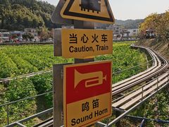 -红山村