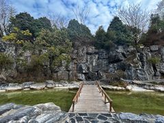 -上海吴淞炮台湾国家湿地公园