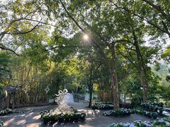 -广西壮族自治区药用植物园