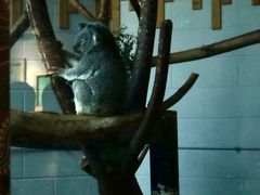 -南京金牛湖风景区