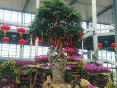 -南通洲际绿博园